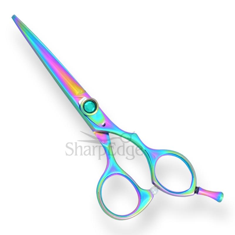 Professional Hair Dressing Scissors 
